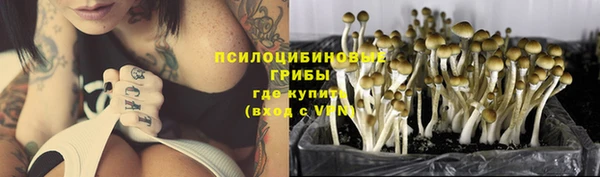 гашик Армянск