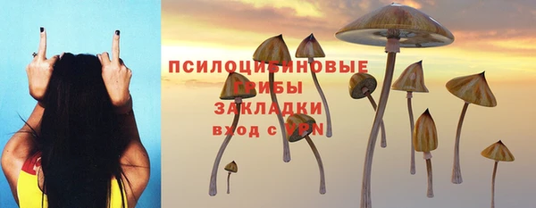 a pvp Арсеньев
