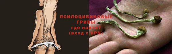 гашик Армянск