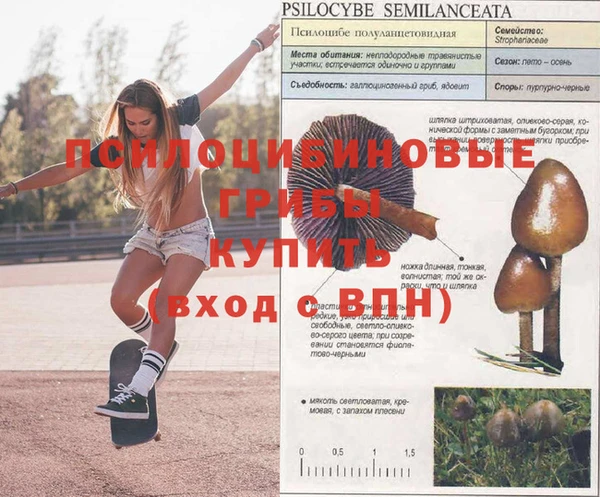 MDMA Premium VHQ Аркадак