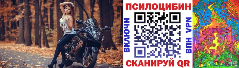 закладки  OMG как войти  Псилоцибиновые грибы GOLDEN TEACHER  Сарапул 