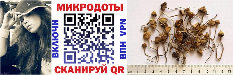 Галлюциногенные грибы Cubensis Сарапул